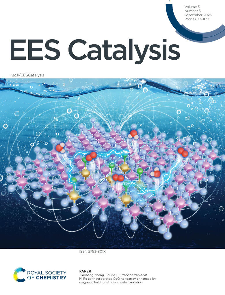 EES Catalysis, 3(5), 2025 doi: 10.1039/D5EY90021B