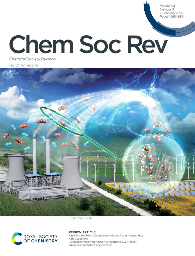 Chem Soc Rev, 54 (3) , 2025 doi: 10.1039/D5CS90012C