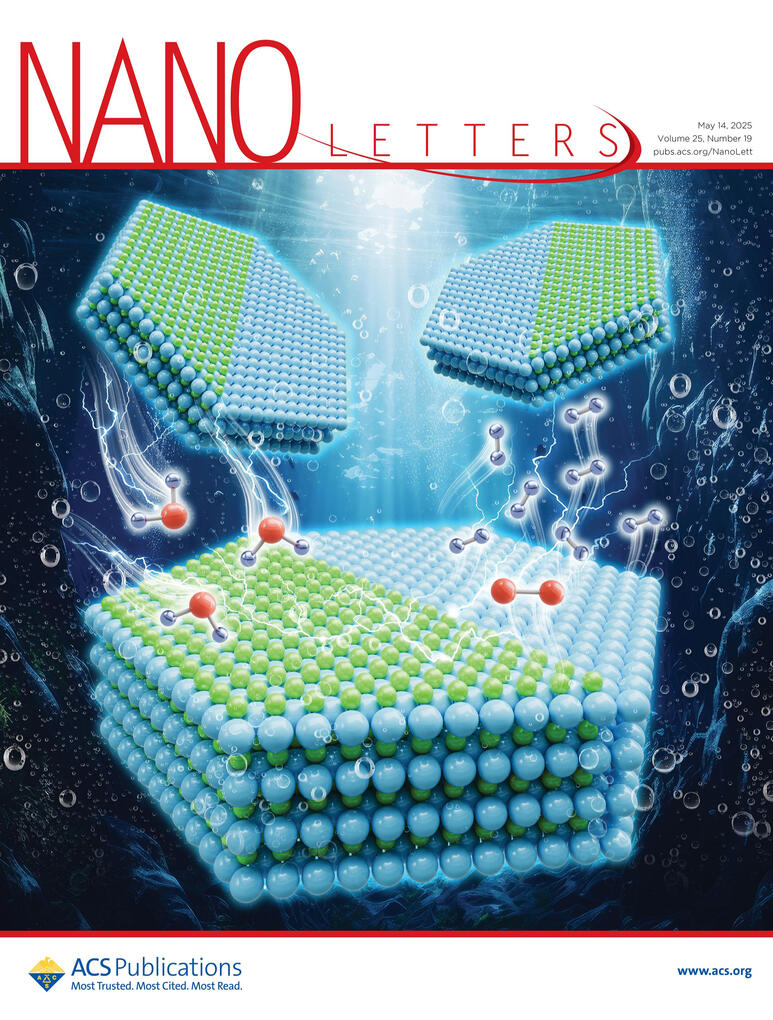 NANO Letters, 54 (3) , 2025 doi: 10.1039/D5CS90012C